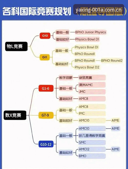 TMJE赛事数据推荐深度分析：一个亲历者的迭代体验报告