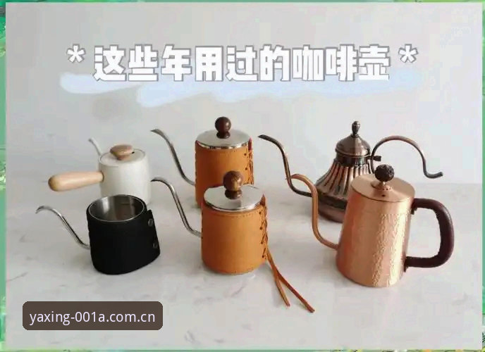 一只咖啡壶的北美漫游记：波黑文化的“流量密码”实战评测
